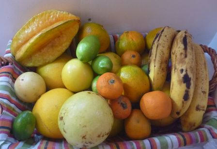 Fruits de la Gomera